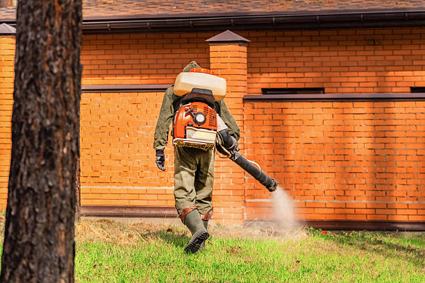 Trusted Mosquito Control service in Jonesville, LA - Nex Pest Control